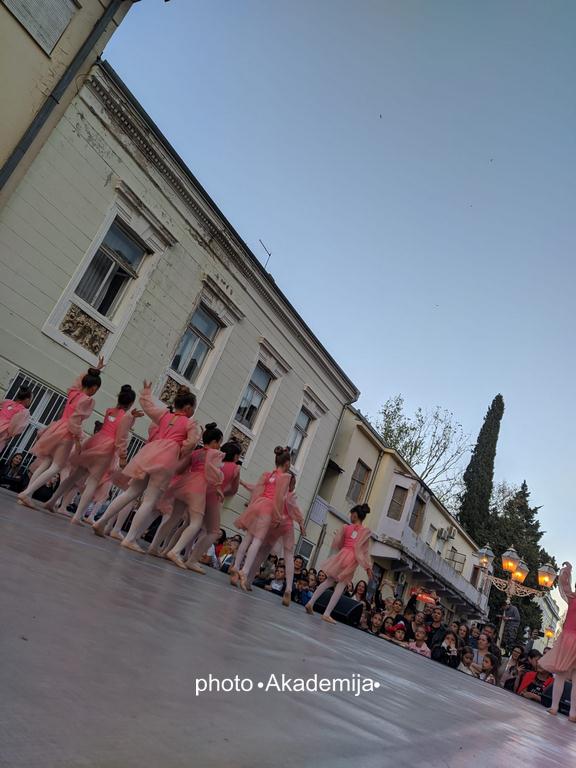 AKADEMIJA Čapljina – SVjetski dan plesa 2022 (10)